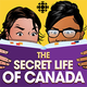 Image for article titled Comedy Bang! Bang! does the damn thing with a 10-hour 10th anniversary episode